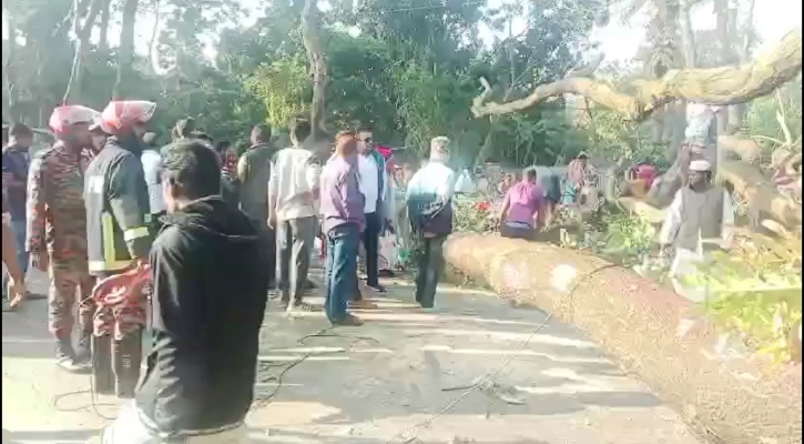 গাছ ফেলে সড়ক অবরোধ